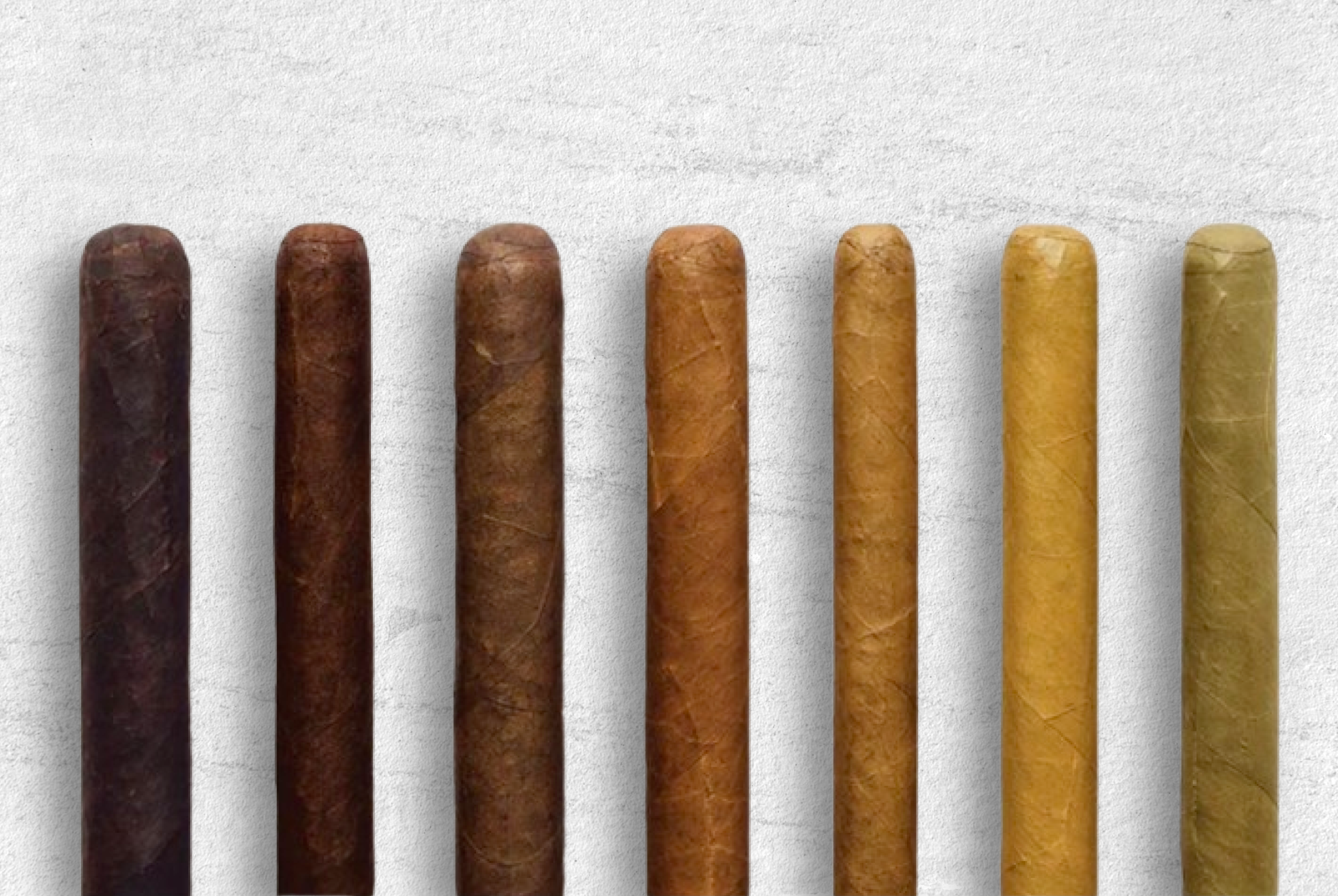 is it bad to flush cigarettes down the toilet Quit Smoking : Cigarettes in the toilet Stock Photo is it bad to flush cigarettes down the toilet Quit Smoking : Cigarettes in the toilet Stock Photo