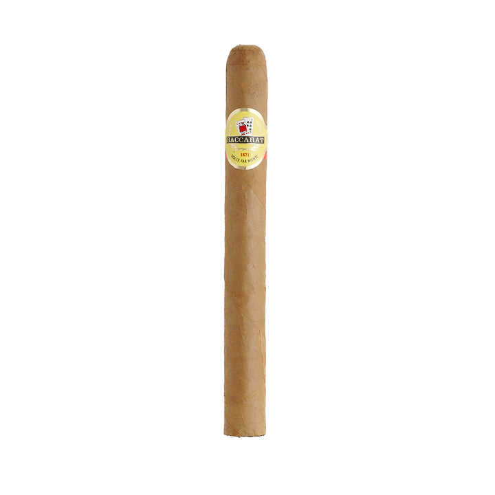 Baccarat Havana Select Churchill