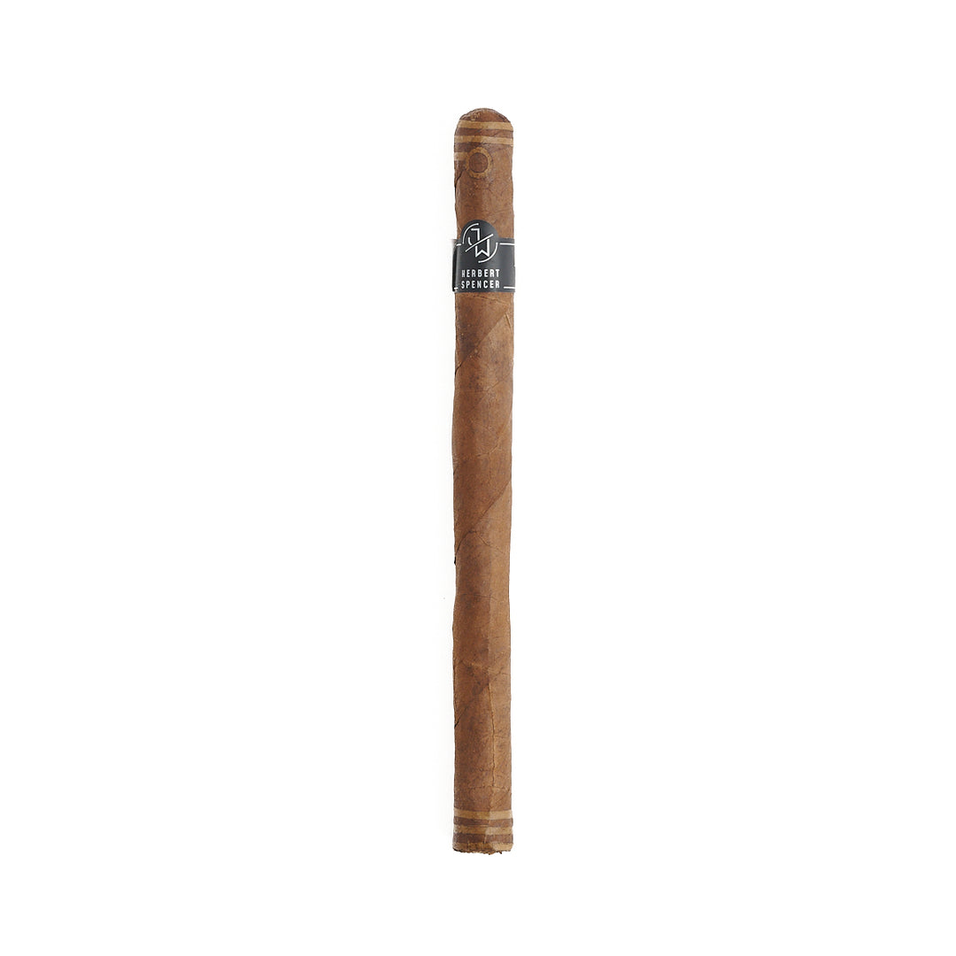 Jake Wyatt Hervert Spencer Lancero