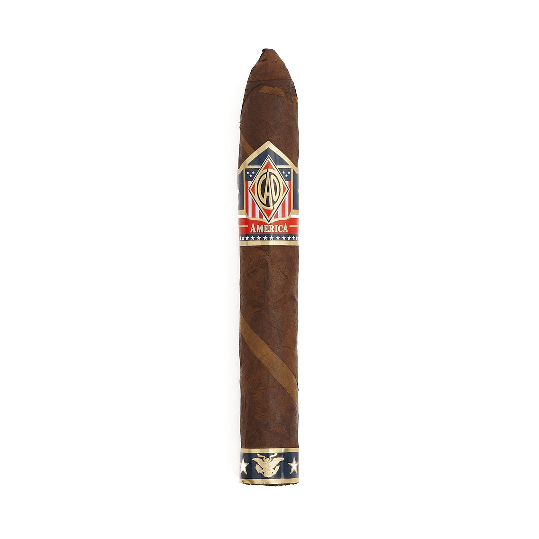 CAO 美国纪念碑鱼雷