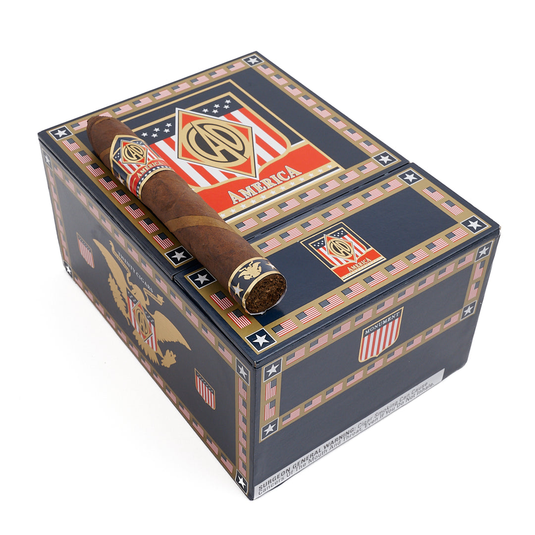 CAO 美国纪念碑鱼雷
