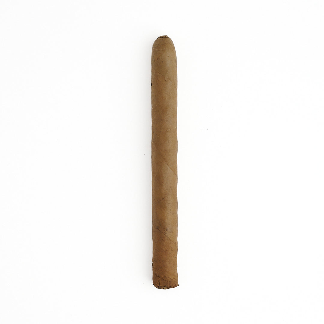 Arturo Fuente Curly Head Natural