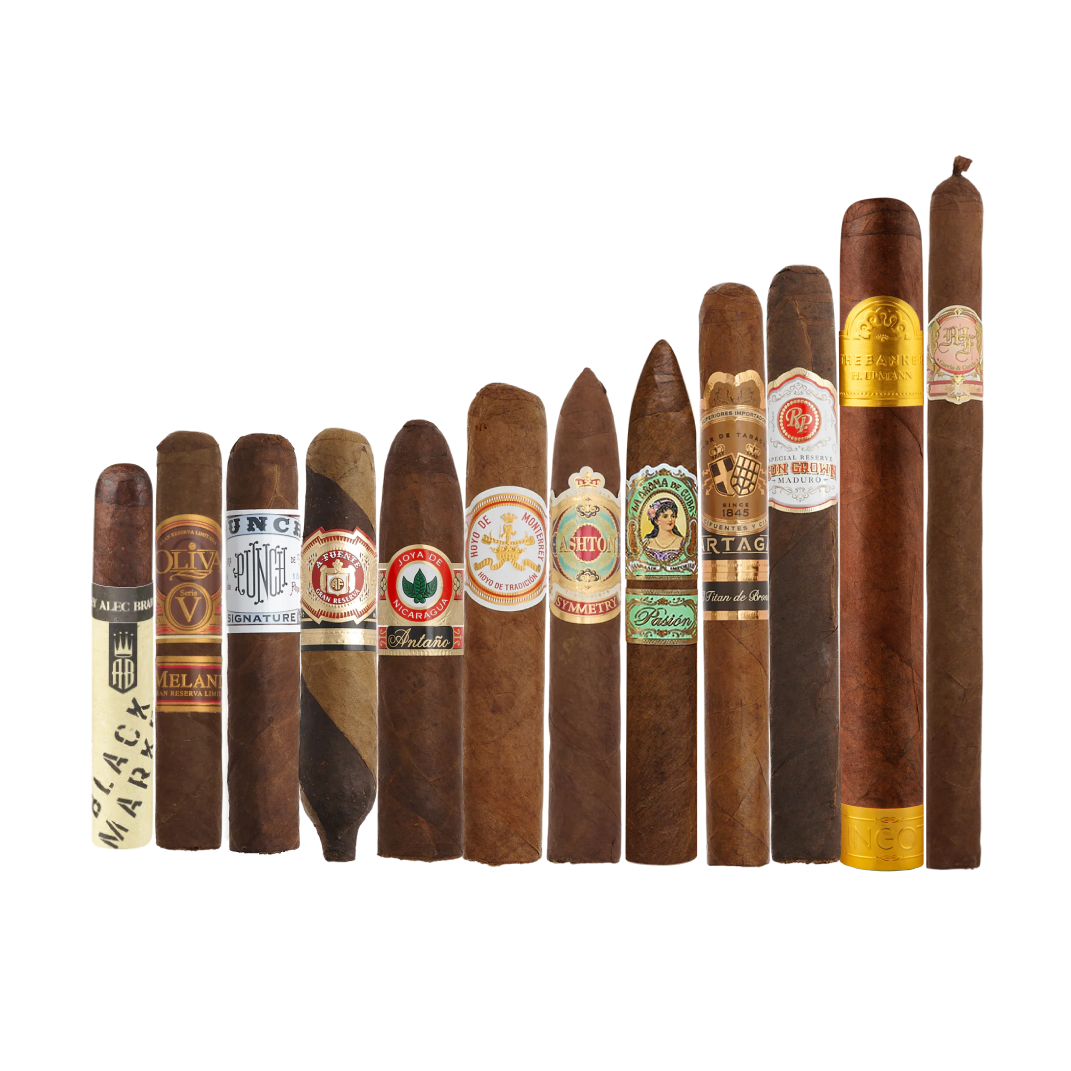 70Cigars Aficionado's Collection 12ct Sampler of All Sizes #2