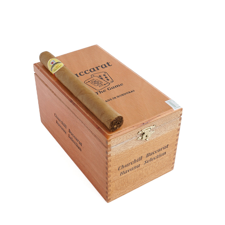 Camacho Corojo 내추럴 처칠