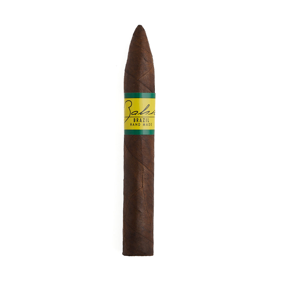 Bahia Brazil Torpedo