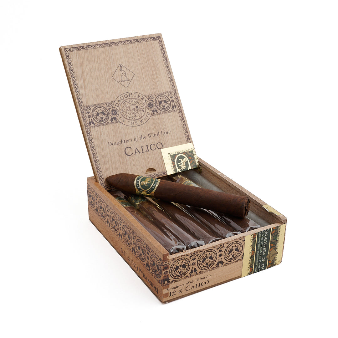 Casdagli Daughters of the Wind Calico