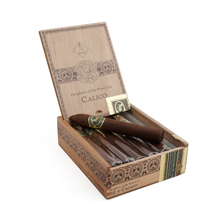 Casdagli Daughters of the Wind Calico