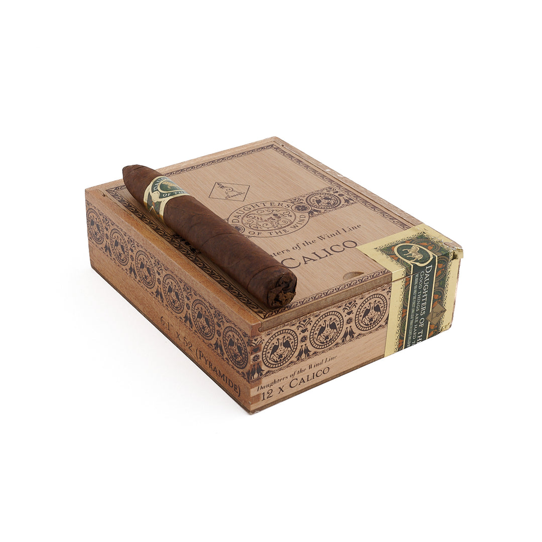 Casdagli Daughters of the Wind Calico