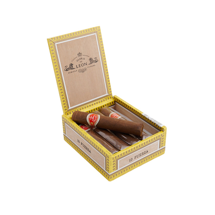 Curivari Gloria Leon Fuerza