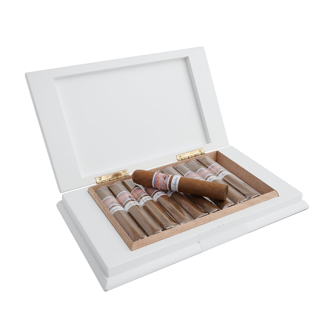 伊斯坦布尔之韵公牛