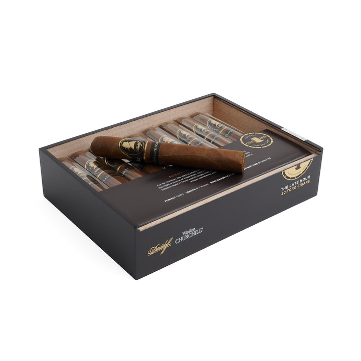 大卫杜夫温斯顿丘吉尔至暗时刻系列公牛