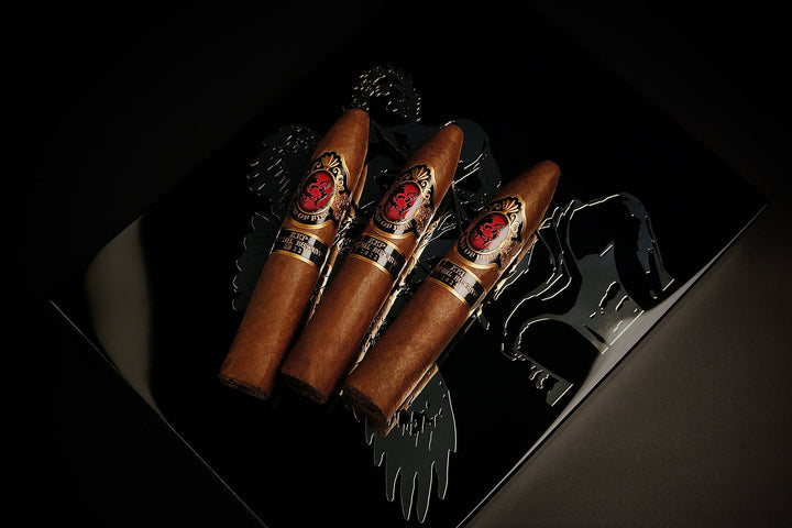 God of Fire KKP Never Back Down Piramide 58