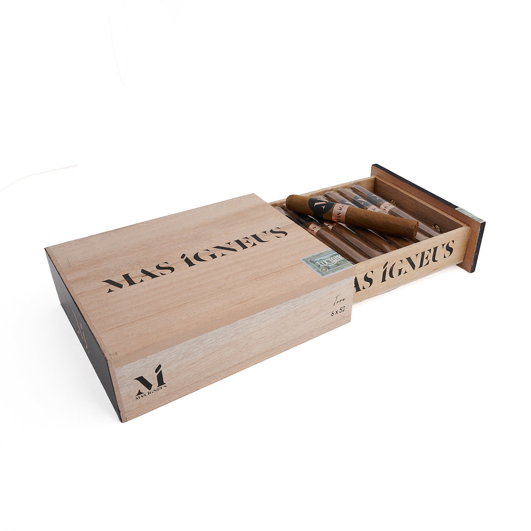 卢西亚诺火焰之家公牛