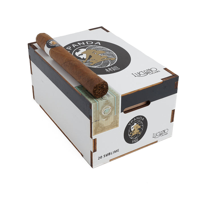 卢西亚诺X熊猫联乘大公牛