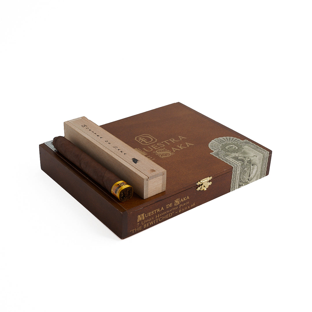 Muestra de Saka The Bewitched