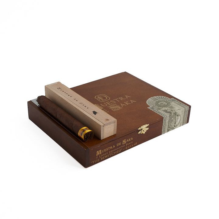 Muestra de Saka The Bewitched