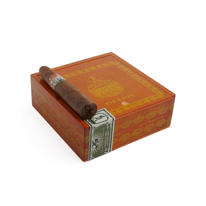 Villa Casdagli Pigasus