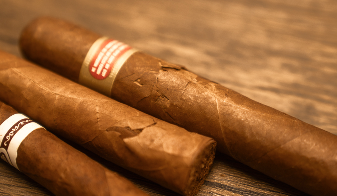 Is Your Cigar Too Dry? Signs, Causes & Storage Mistakes to Avoid