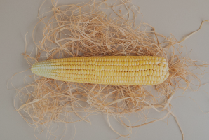 Corn Cob – 70Cigars