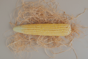 Corn Cob