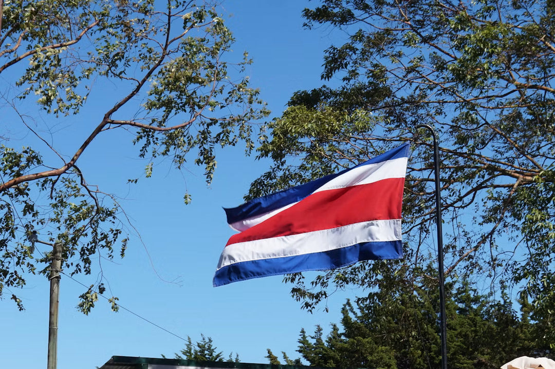 Costa Rican Cigars