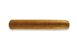 Gordo Cigars