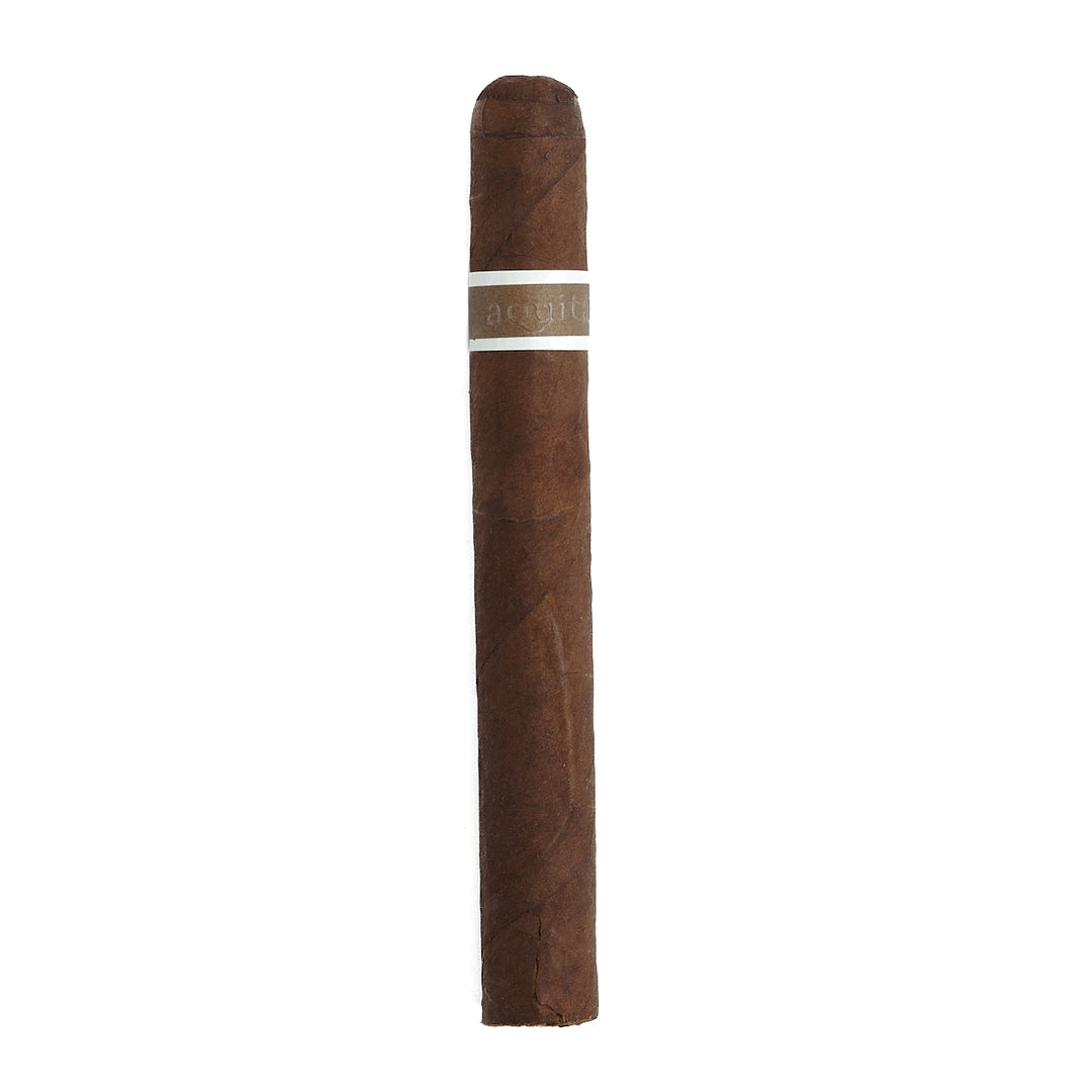 RoMa Craft CroMagnon Aquitaine Anthropology Grand Corona