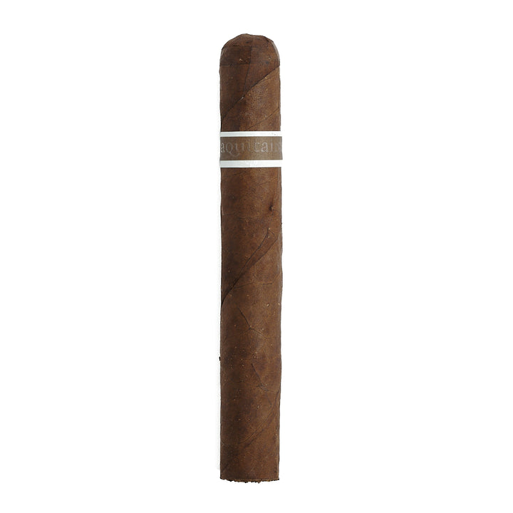 RoMa Craft CroMagnon Aquitaine Cranium Toro