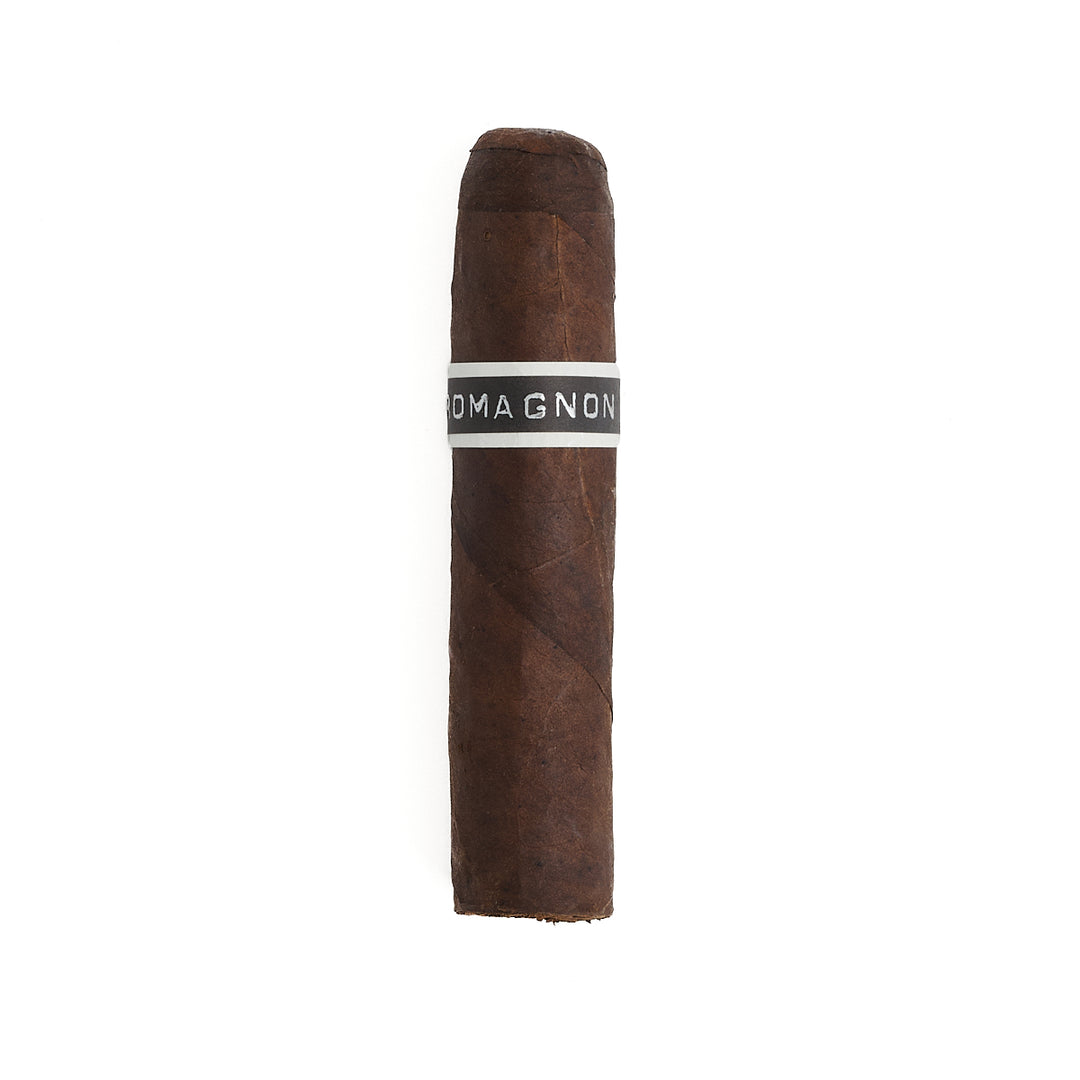 RoMa Craft CroMagnon Mandible Gordo