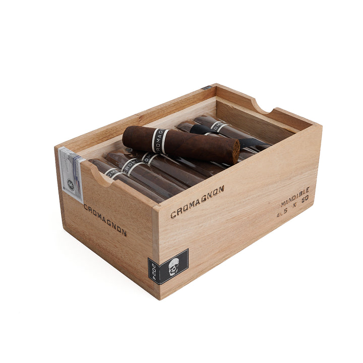 RoMa Craft CroMagnon Mandible Gordo