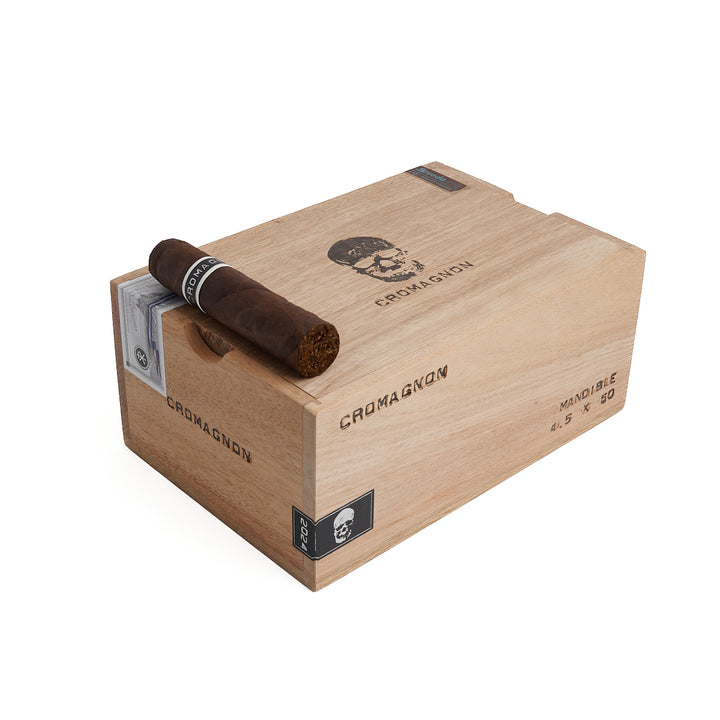 RoMa Craft CroMagnon Mandible Gordo