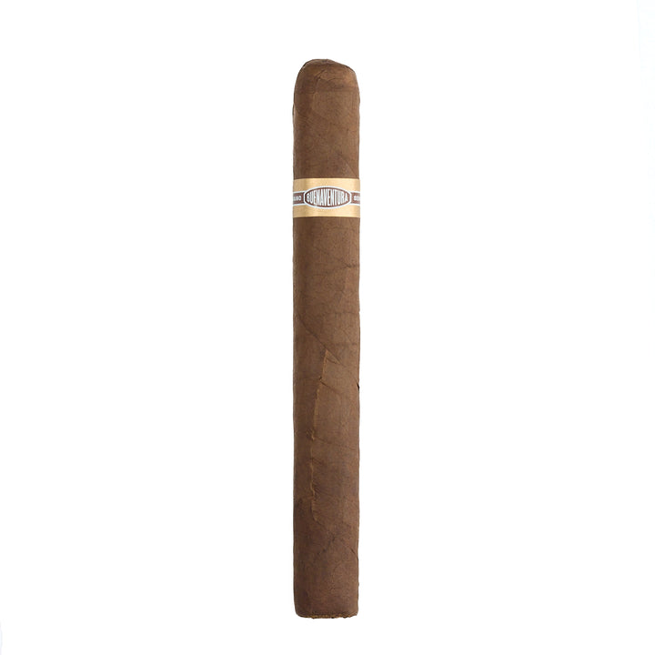 Curivari Buena Ventura Picadores 54 Churchill