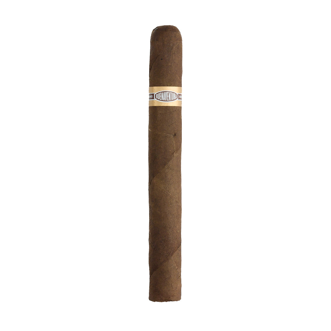 Curivari Buena Ventura Pralines P652 Toro