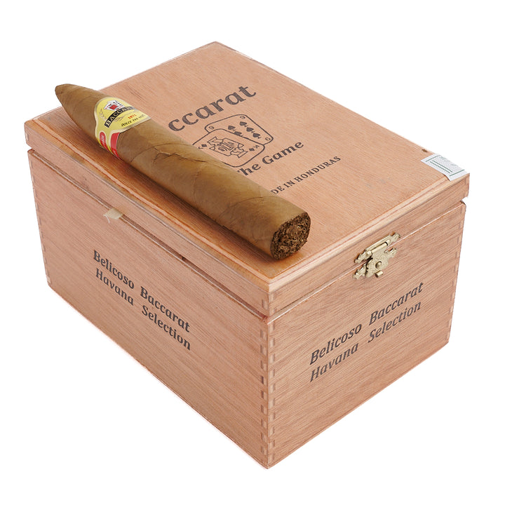 Camacho Corojo 내추럴 처칠