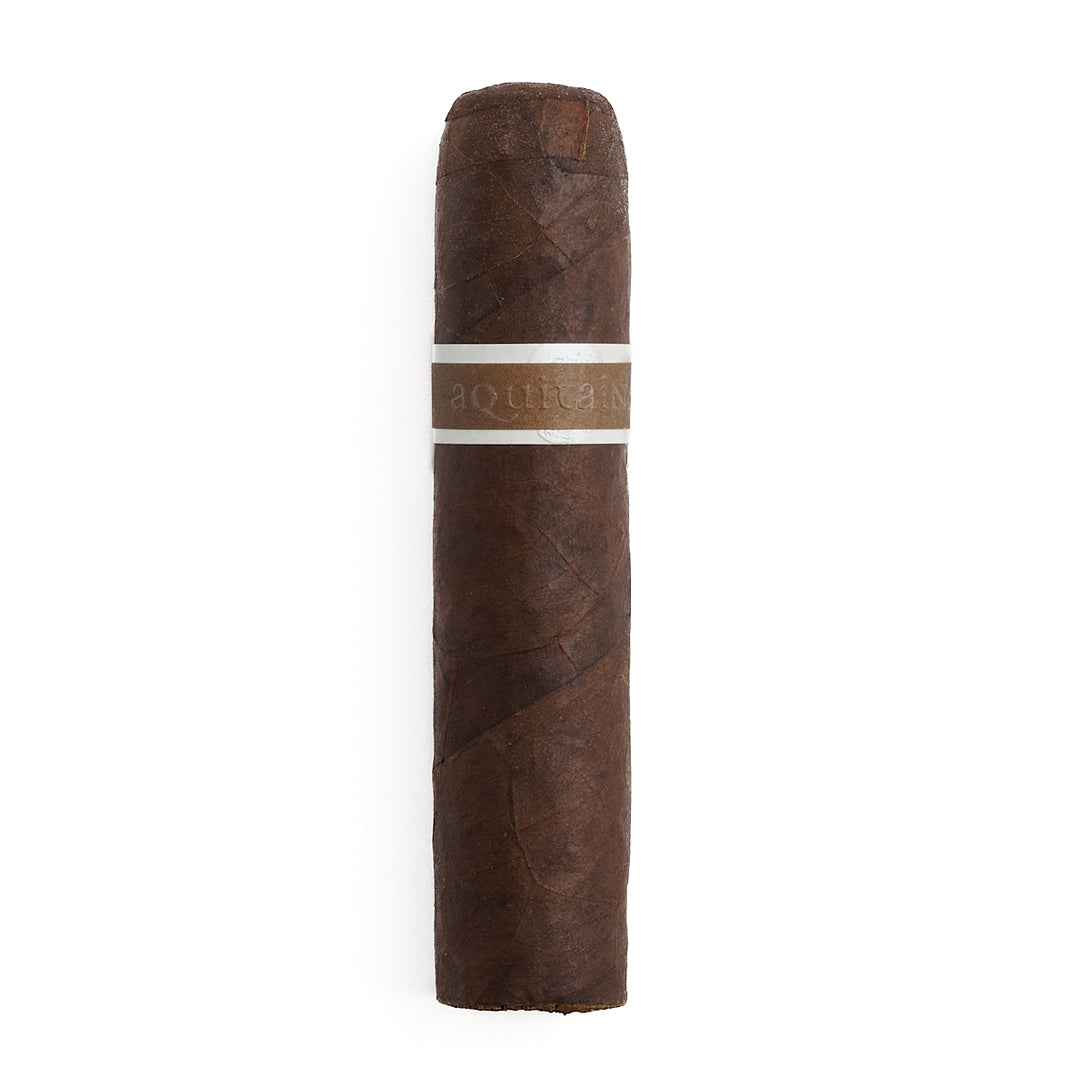 RoMa Craft CroMagnon Aquitaine Mandible