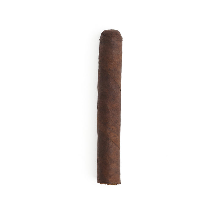 CAO Amazon Basin Daggers