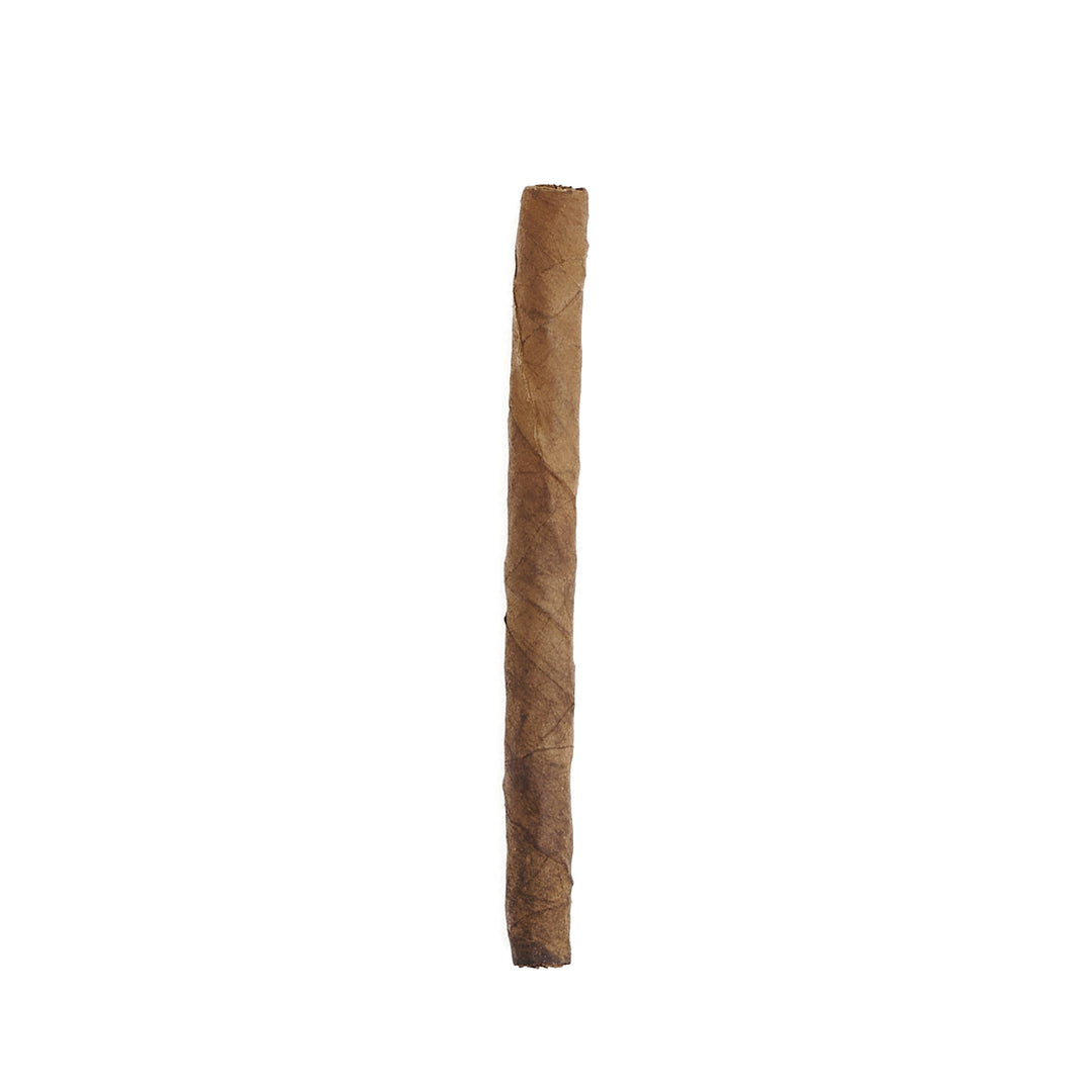 Zino Nicaragua Mini Cigarillos