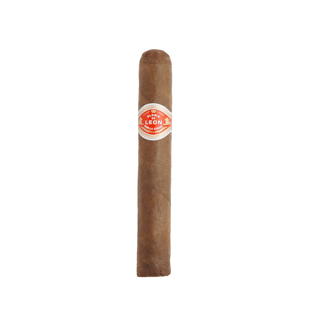Curivari Gloria Leon Gran Dominio Hermosos Robusto