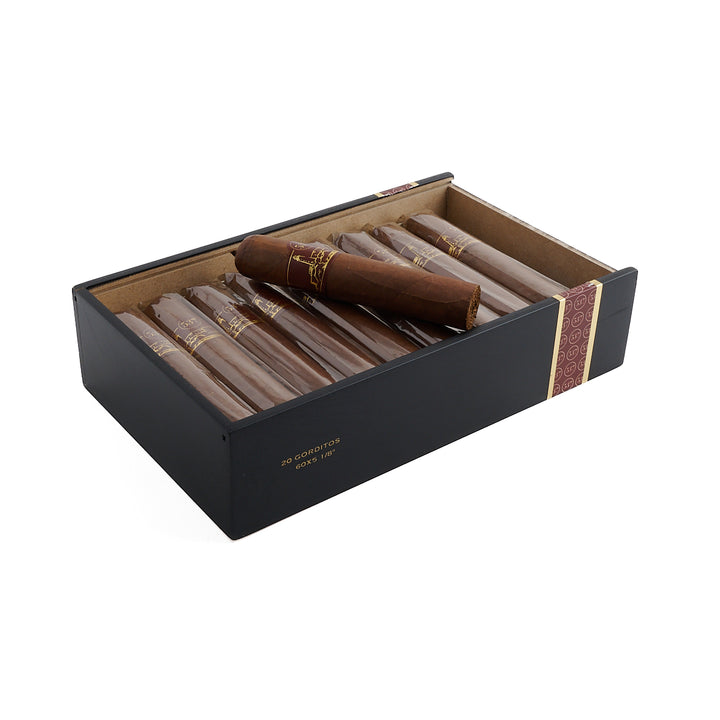 IGM 537 Gorditos