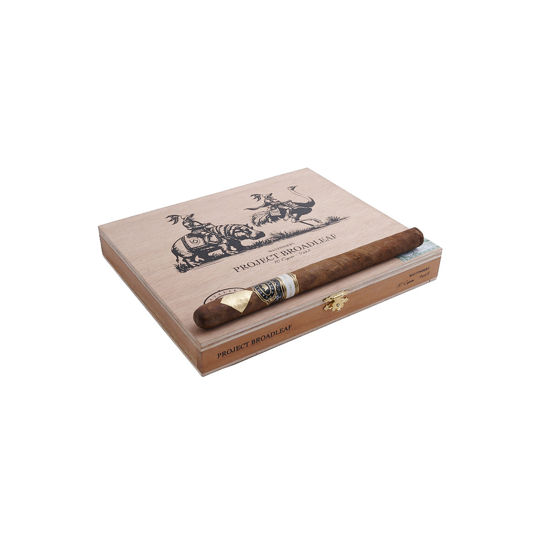 Cavalier Project Broadleaf #3B Wayfinders