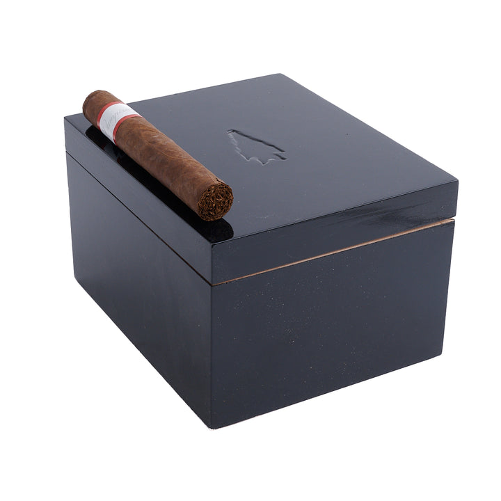 Viaje Vampire Dust Red Weight of Absence