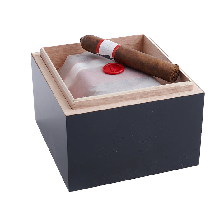 Viaje Vampire Dust Red Silent Invitation