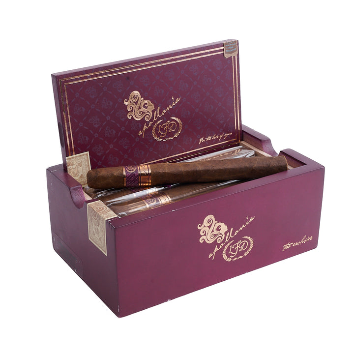 La Flor Dominicana Apollonia TAA 2025
