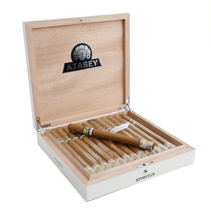 非古BHK 阿塔贝Spiritus长矛