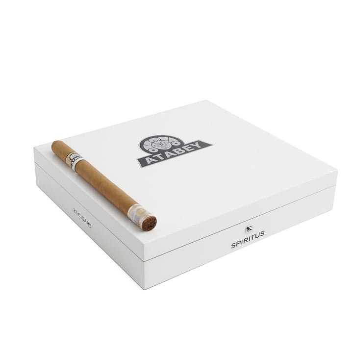 非古BHK 阿塔贝Spiritus长矛