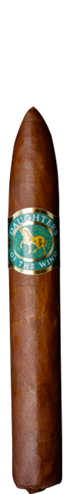Casdagli Daughters of the Wind Calico