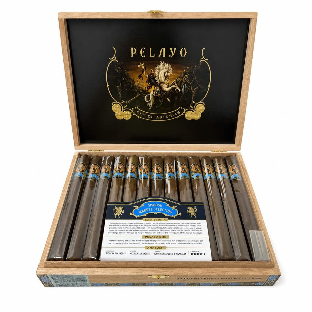 Casa Molina Pelayo SMS Churchill AI product photo