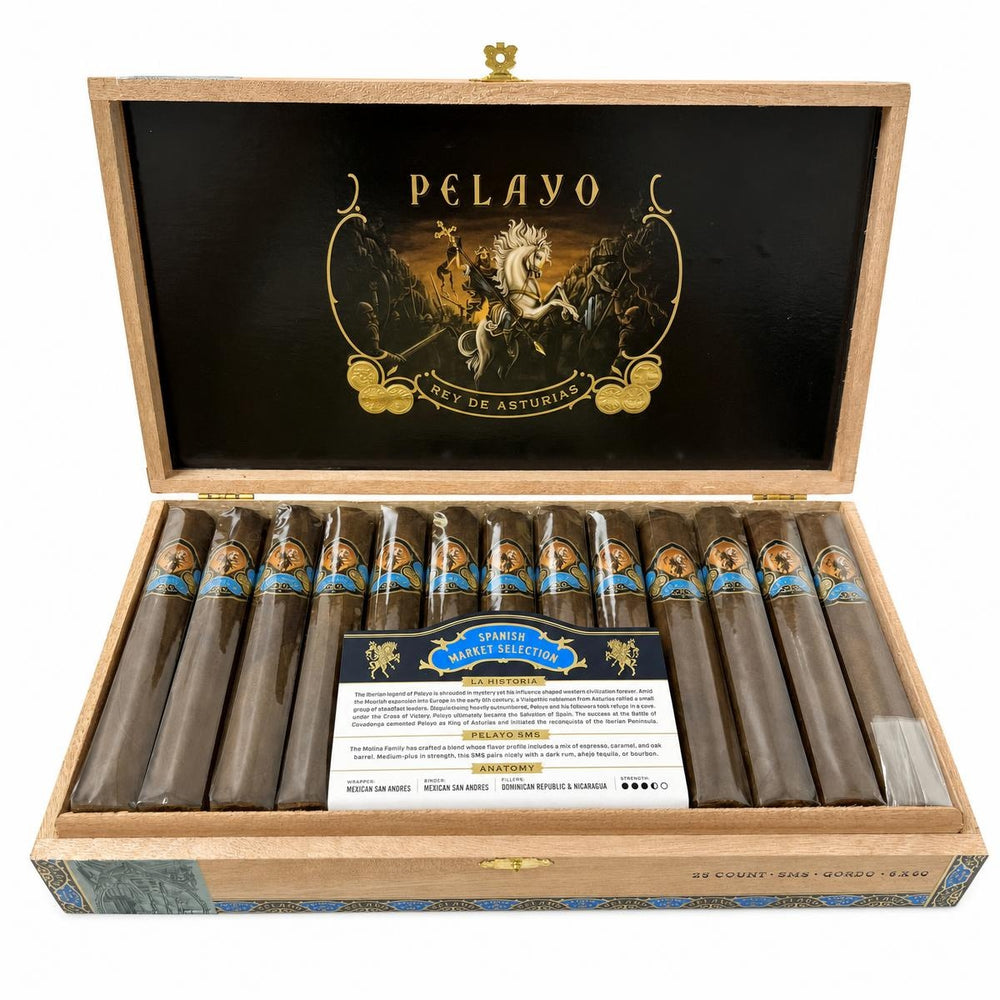 Casa Molina Pelayo SMS Gordo AI product photo