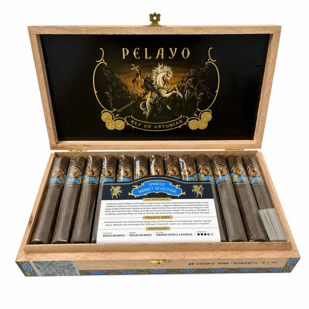 Casa Molina Pelayo SMS Robusto AI product photo