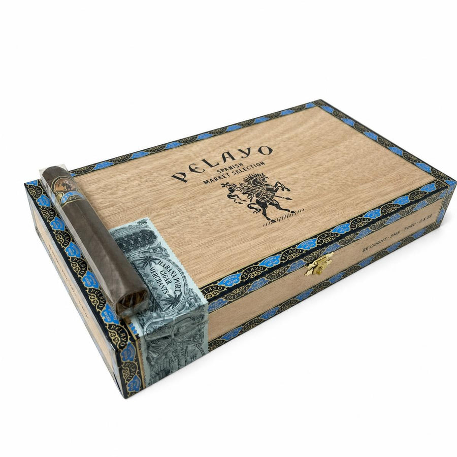 Casa Molina Pelayo SMS Toro AI product photo